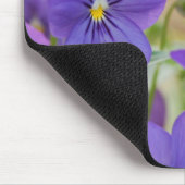 Paarse Muismat Pansy (Hoek)