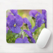 Paarse Muismat Pansy (Met muis)
