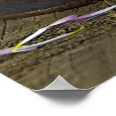 paarse mum bloemen in roesttin poster (Hoek)