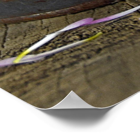 paarse mum bloemen in roesttin poster (Hoek)