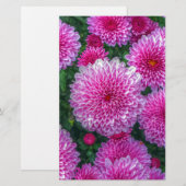 Paarse Mums Briefpapier (Voorkant / Achterkant)