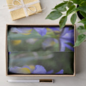 Paarse N gele Iris Tissuepapier (Geschenk)