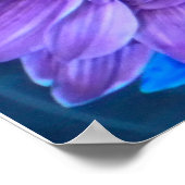 Paarse N Turquoise Daisies Poster (Hoek)