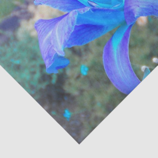 Paarse N Turquoise Daylily Tissuepapier (Detail)