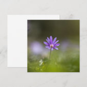 Paarse Natuur voorbloem Fotokaart (Voorkant / Achterkant)