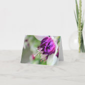 Paarse nauwelijks Fuchsia Feestdagen Kaart (Voorkant)