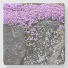 Paarse neerslag op raketten stenen onderzetter