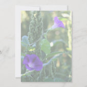 Paarse ochtend gloriebloemen feest kaart (Achterkant)