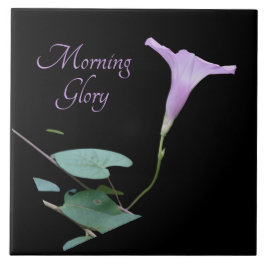  paarse ochtendglorie in zwart tegeltje