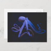 Paarse octopus briefkaart (Voorkant / Achterkant)