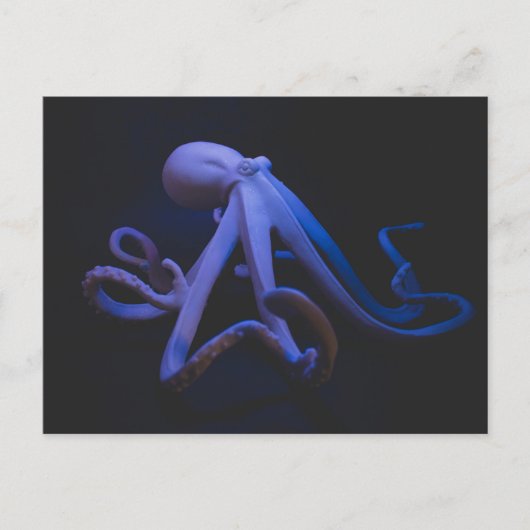 Paarse octopus briefkaart (Voorkant)