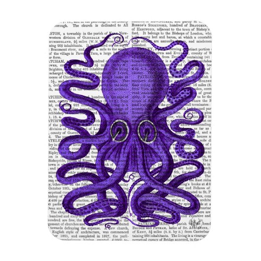 Paarse octopus magneet (Verticaal)