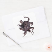 Paarse octopus vierkante sticker (Envelop)