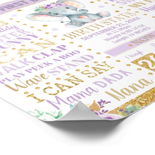 Paarse olifant 1e verjaardag van de Meenstone Birt Poster (Hoek)