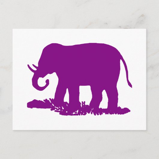 Paarse olifant briefkaart (Voorkant)