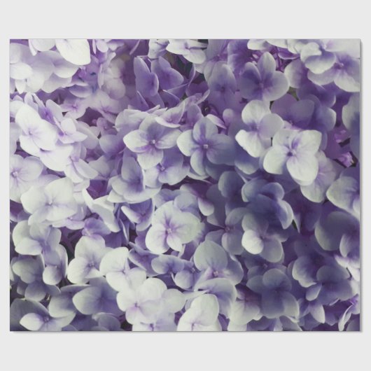 Paarse ondergrond van Hydrangea Cadeaupapier (Vlak)