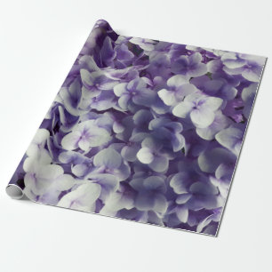 Paarse ondergrond van Hydrangea Cadeaupapier