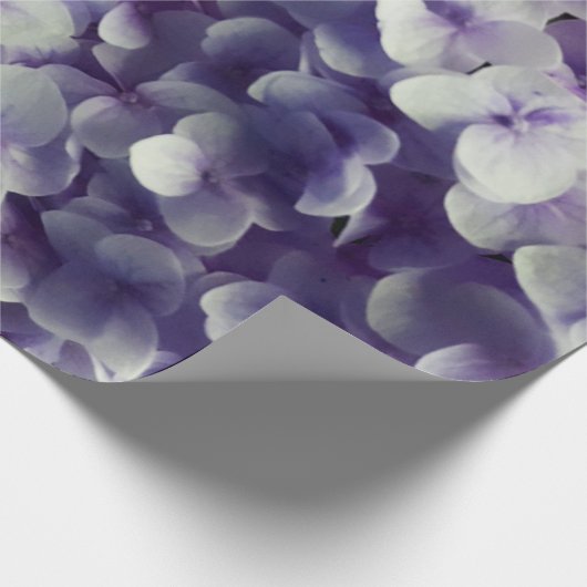 Paarse ondergrond van Hydrangea Cadeaupapier (Hoek)