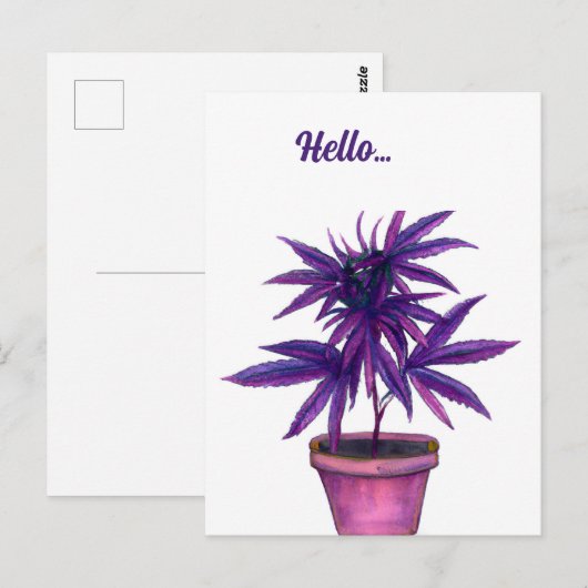 Paarse onkruid Briefkaart (Voorkant / Achterkant)