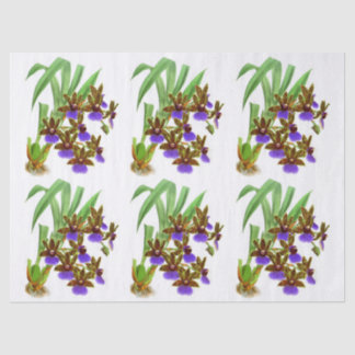  Paarse ontvlechting van de wolkenkrabber Tissuepapier