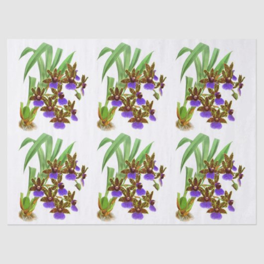  Paarse ontvlechting van de wolkenkrabber Tissuepapier (Voorkant)