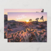 Paarse & Oranje Cholla Cactus Joshua Tree Sunset Briefkaart (Voorkant / Achterkant)
