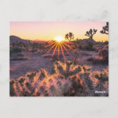 Paarse & Oranje Cholla Cactus Joshua Tree Sunset Briefkaart (Achterkant)