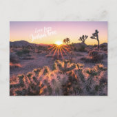 Paarse Oranje Cholla Cactus Joshua Tree Sunset Briefkaart (Voorkant)