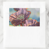 Paarse oranje rode papaverbloemen waterverf rechthoekige sticker (Tas)