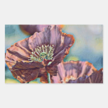 Paarse oranje rode papaverbloemen waterverf