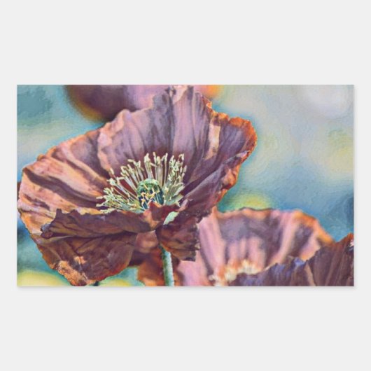 Paarse oranje rode papaverbloemen waterverf rechthoekige sticker (Voorkant)