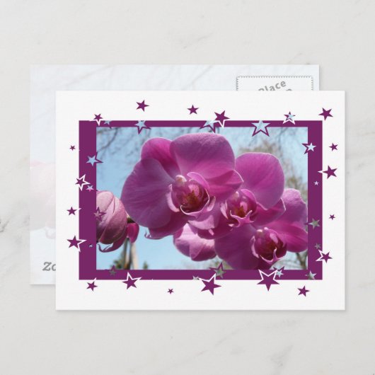 Paarse Orchid Briefkaart (Voorkant / Achterkant)