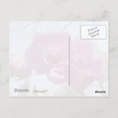 Paarse Orchid Briefkaart (Achterkant)
