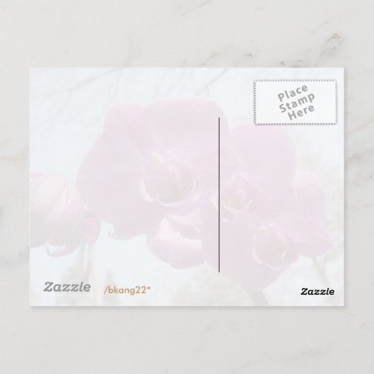 Paarse Orchid Briefkaart (Achterkant)
