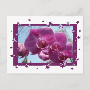Paarse Orchid Briefkaart