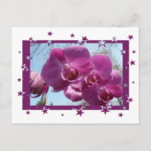Paarse Orchid Briefkaart (Voorkant)