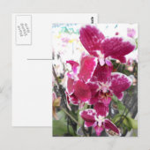 Paarse Orchid Briefkaart (Voorkant / Achterkant)