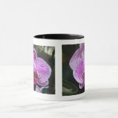 Paarse Orchid Dubbel met Ringer-Mok rand Mok (Midden)
