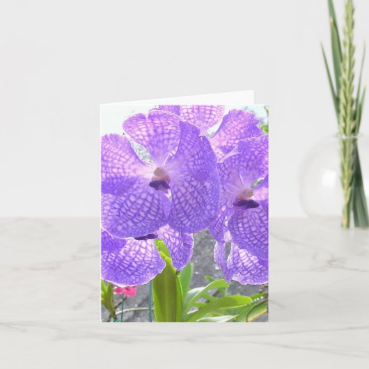 PAARSE ORCHID KAART (Voorkant)