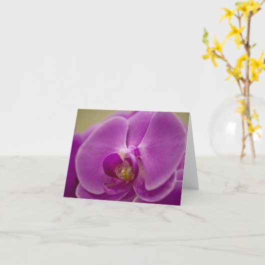 Paarse Orchid Kaart (Gele Bloem)