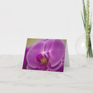 Paarse Orchid Kaart
