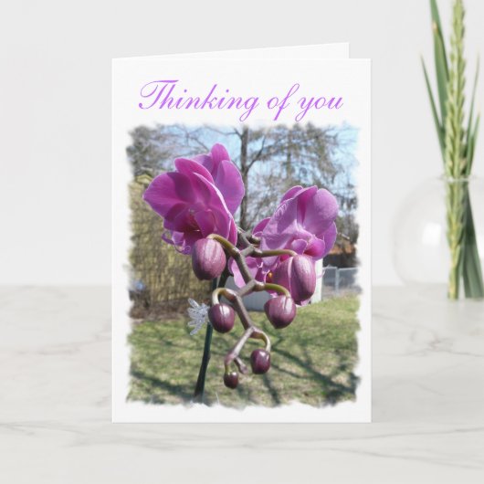 Paarse Orchid Kaart (Voorkant)