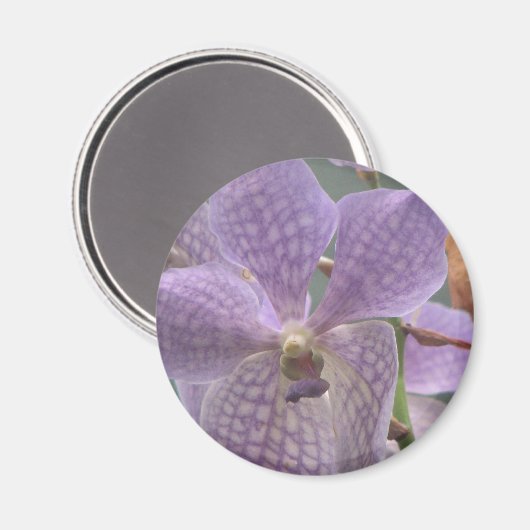 Paarse Orchid Magneet (Voorkant / Achterkant)
