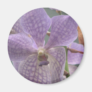 Paarse Orchid Magneet