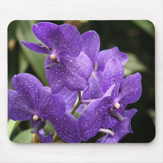 Paarse Orchid Muismat (Voorkant)