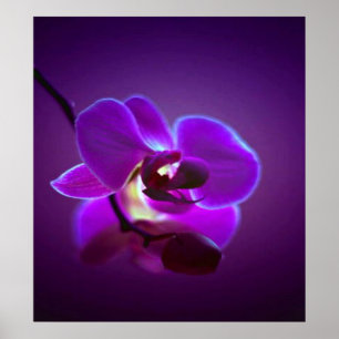 Paarse Orchid Poster