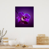 Paarse Orchid Poster (Keuken)
