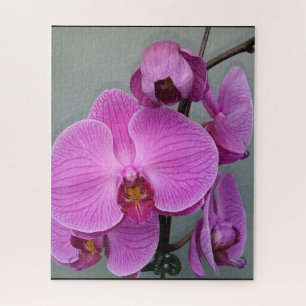 PAARSE ORCHID-puzzel Legpuzzel