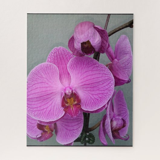 PAARSE ORCHID-puzzel Legpuzzel (Verticaal)