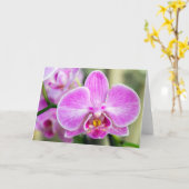 Paarse Orchid zegt: Hi Kaart (Gele Bloem)
